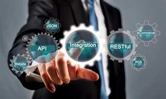 RESTful API for Loyalty Program Integration