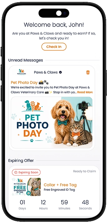 Patron Loyalty mobile app dashboard