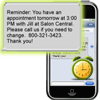 Mobile Reminder | SMS Mobile Reminder Campaign